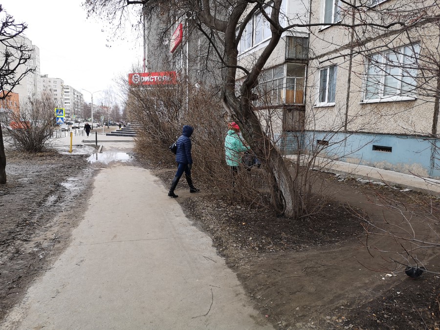 Присоединённое изображение