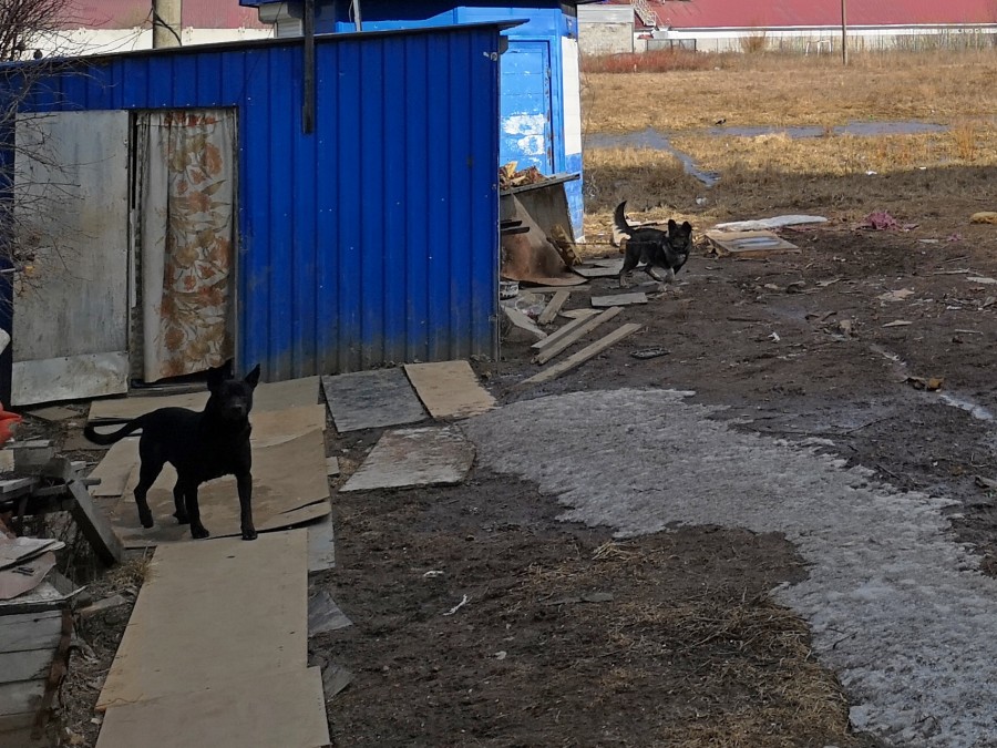 Присоединённое изображение