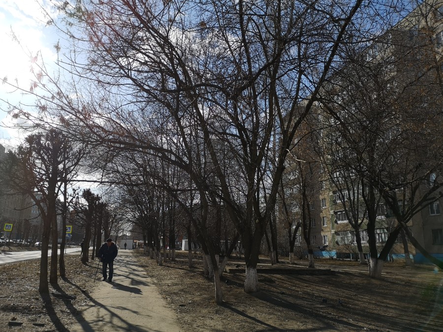 Присоединённое изображение