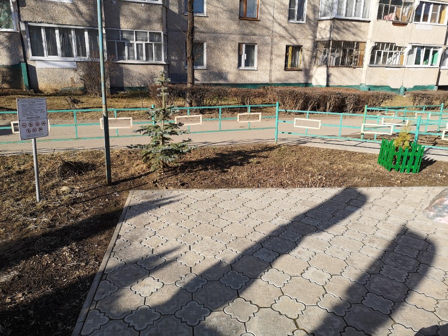 Присоединённое изображение
