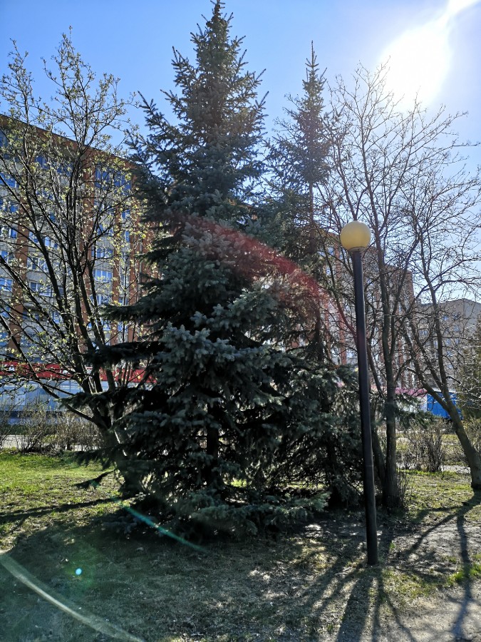 Присоединённое изображение