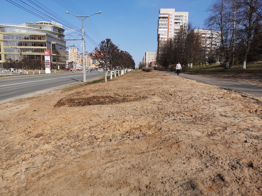 Присоединённое изображение