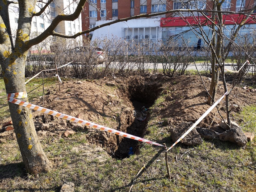 Присоединённое изображение