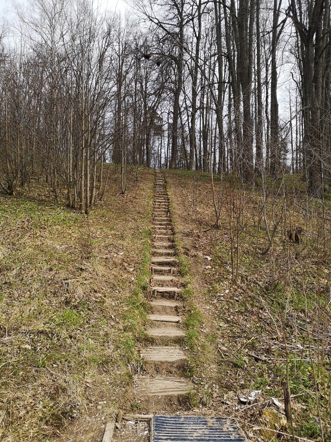 Присоединённое изображение