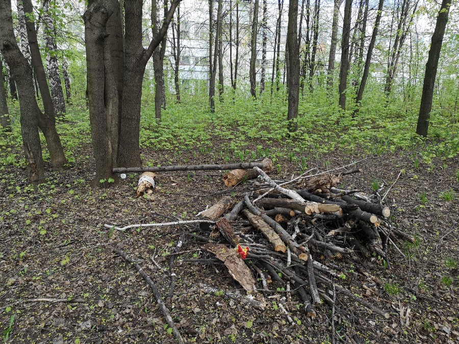 Присоединённое изображение
