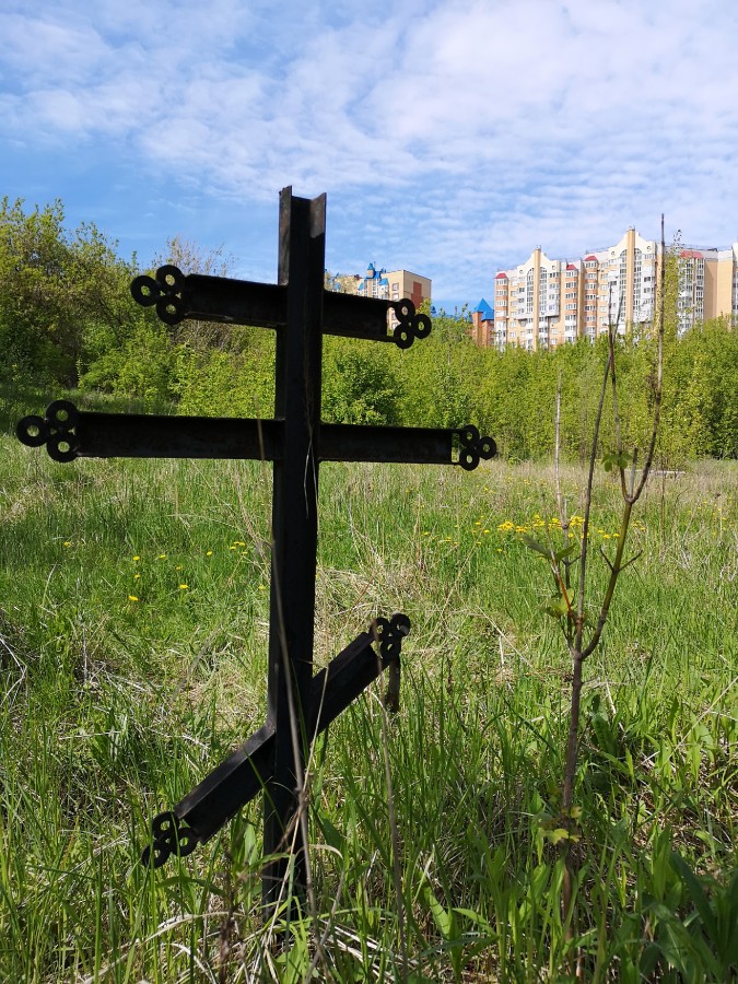 Присоединённое изображение
