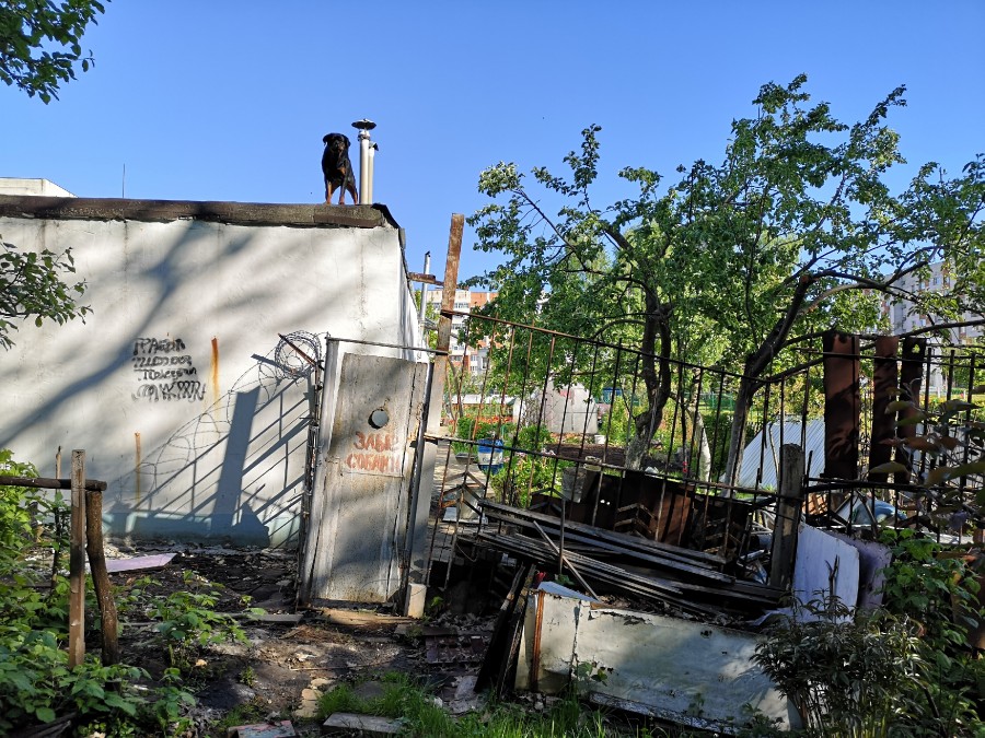 Присоединённое изображение