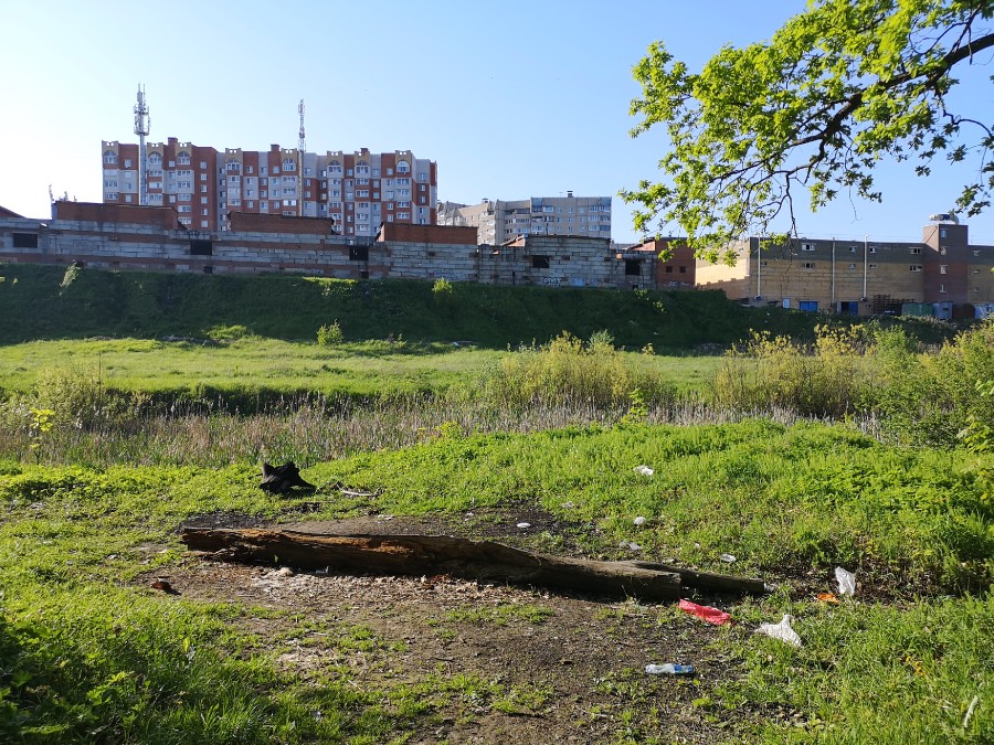 Присоединённое изображение
