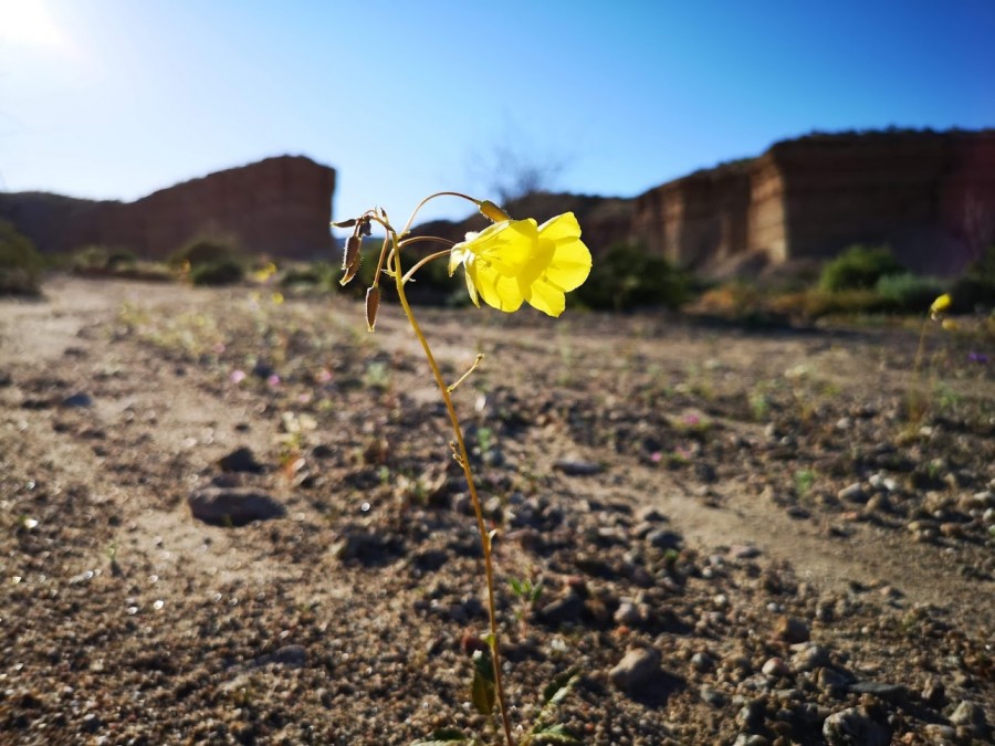  :
 - IMG_20190328_171546.jpg
 - : 225,39, : 31