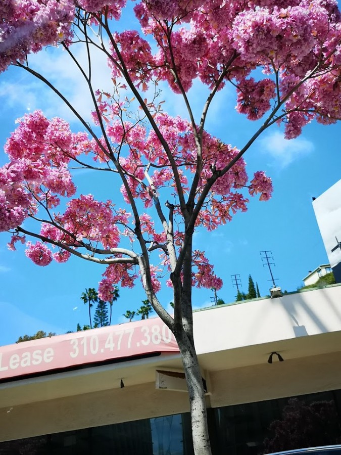  :
 - IMG_20190402_135554.jpg
 - : 242,71, : 32