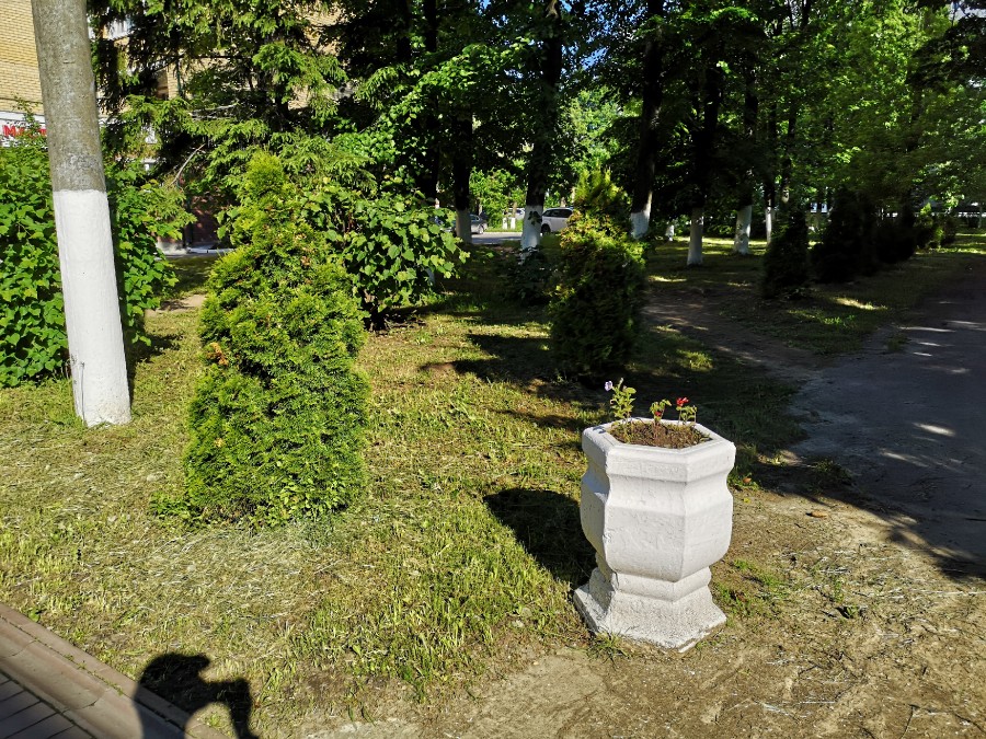 Присоединённое изображение