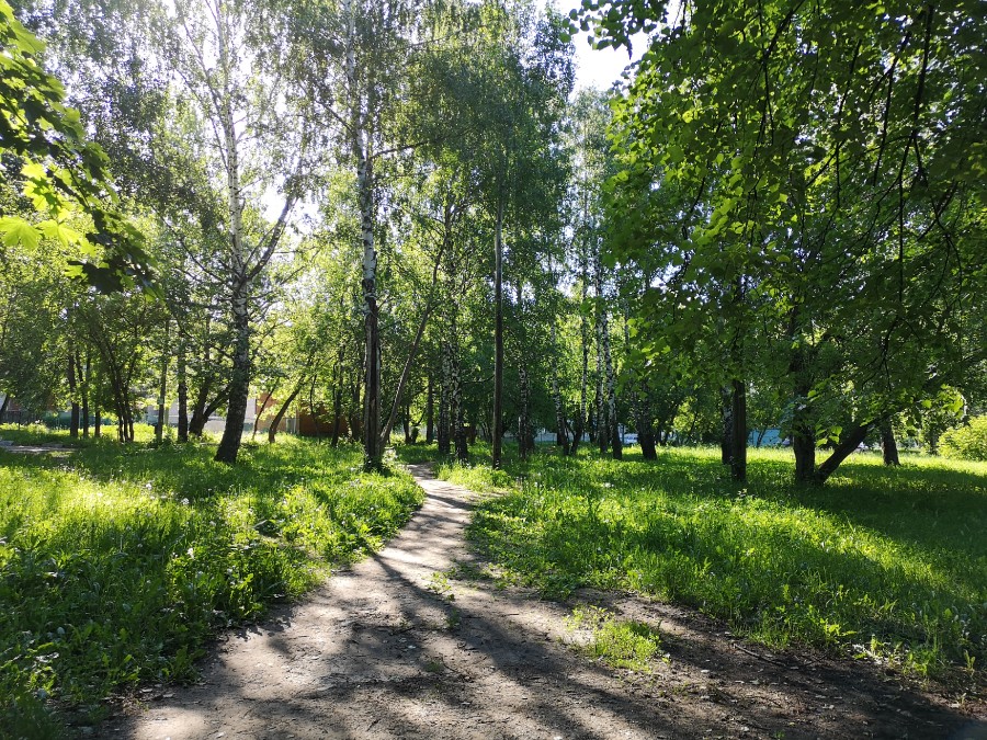 Присоединённое изображение