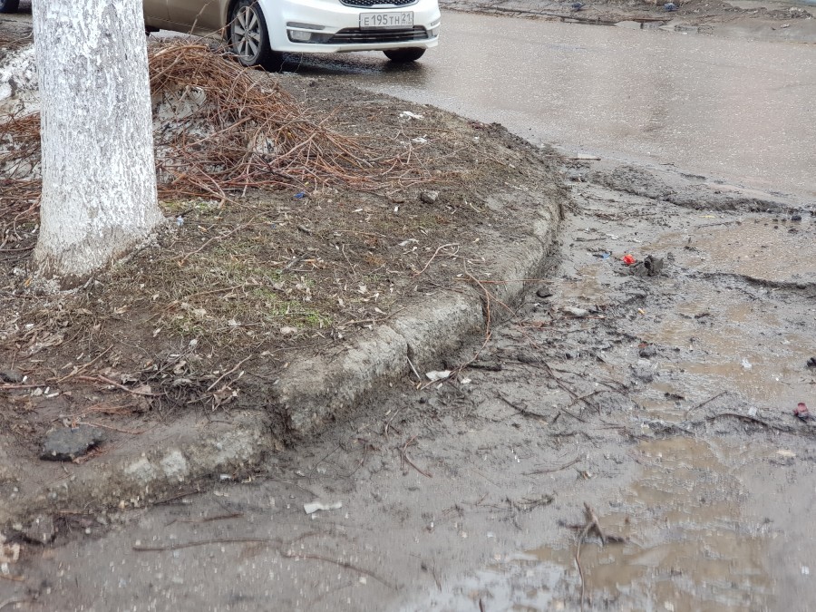 Присоединённое изображение