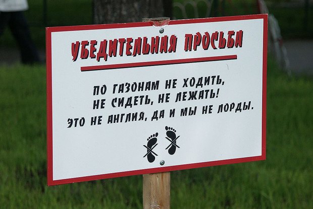 Присоединённое изображение