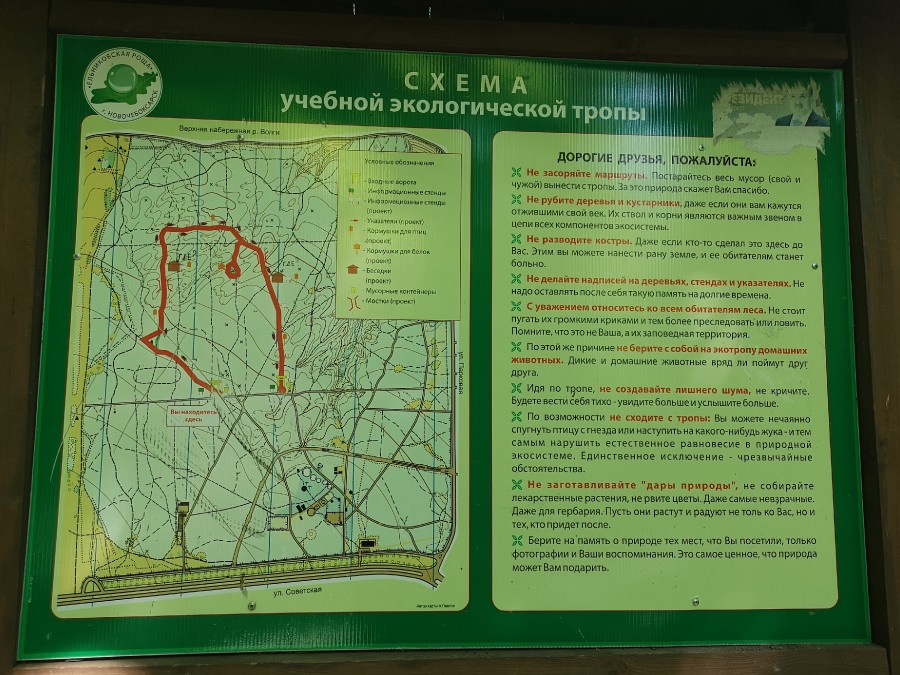 Присоединённое изображение