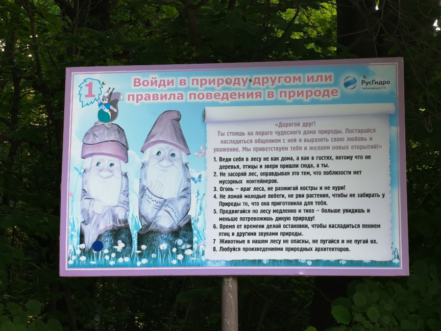 Присоединённое изображение