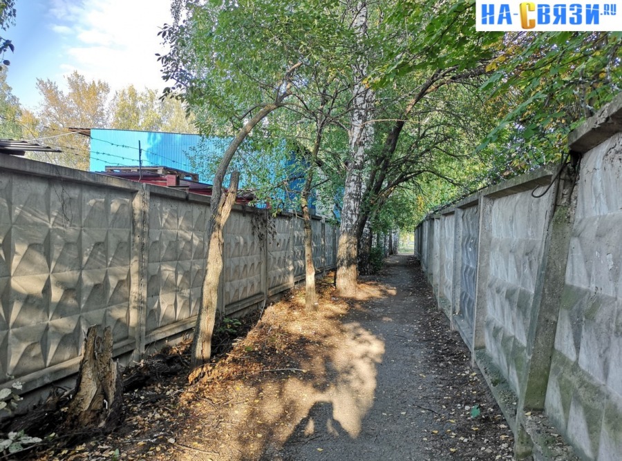 Присоединённое изображение