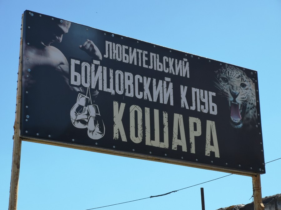 Присоединённое изображение