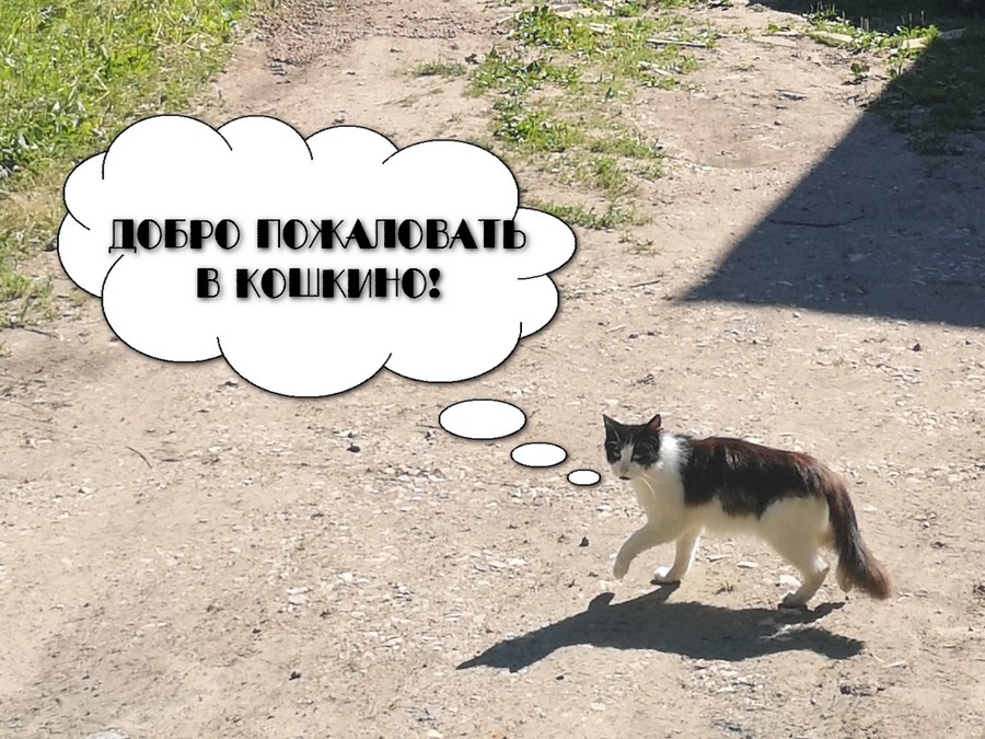 Присоединённое изображение