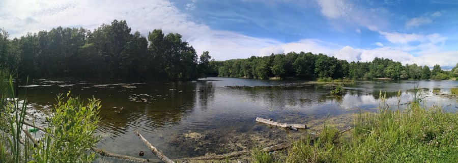 Присоединённое изображение:
- 2020_07_18_14_42_41_panorama.JPG
- Размер: 1,25мб, Скачано: 382