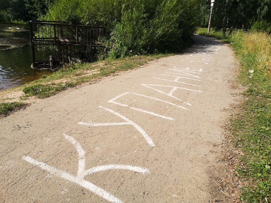 Присоединённое изображение
