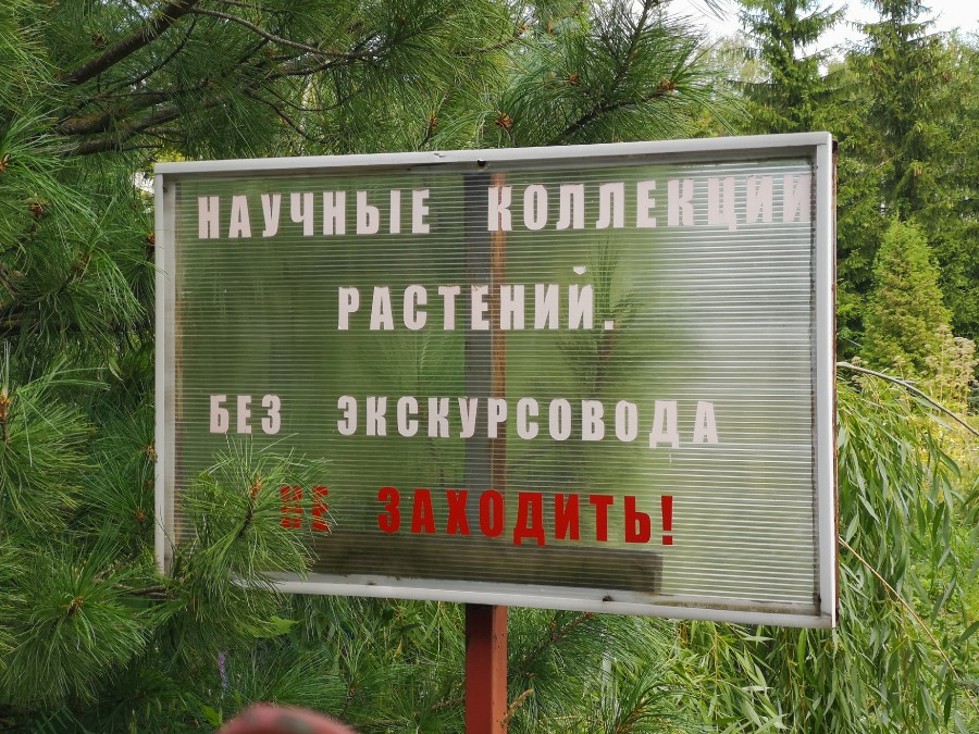 Присоединённое изображение