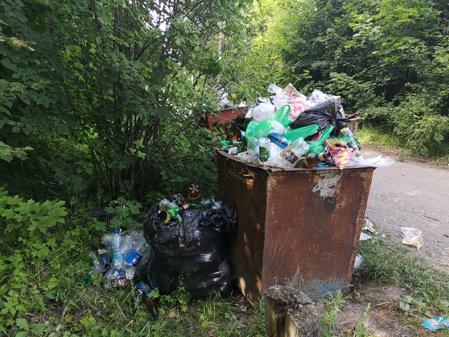 Присоединённое изображение