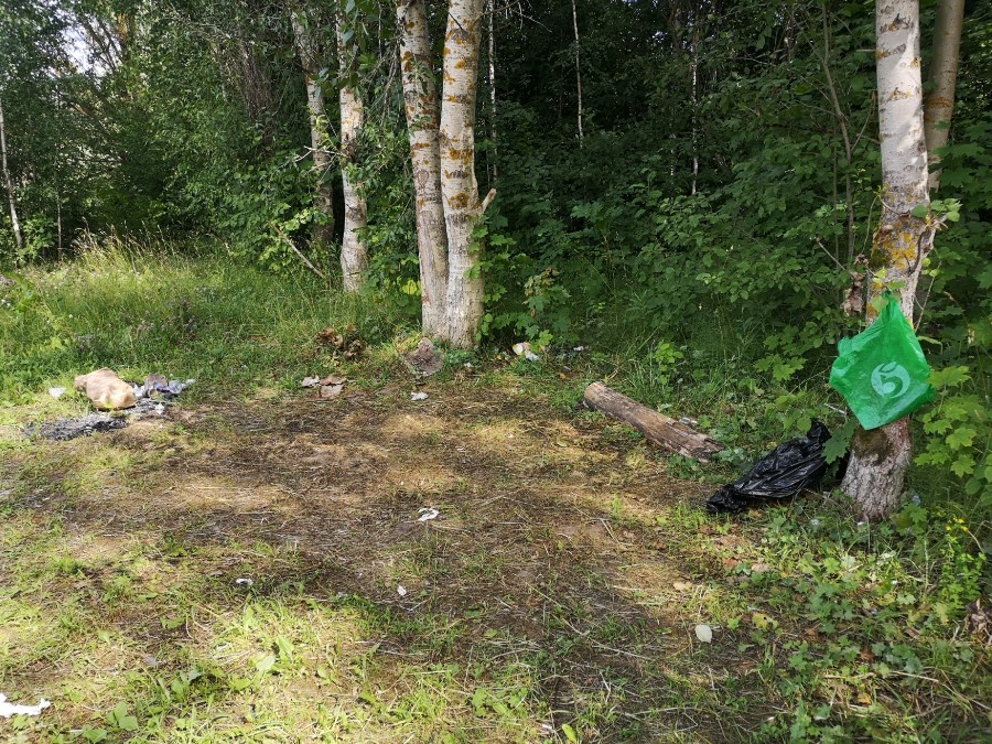 Присоединённое изображение