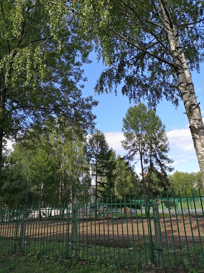 Присоединённое изображение