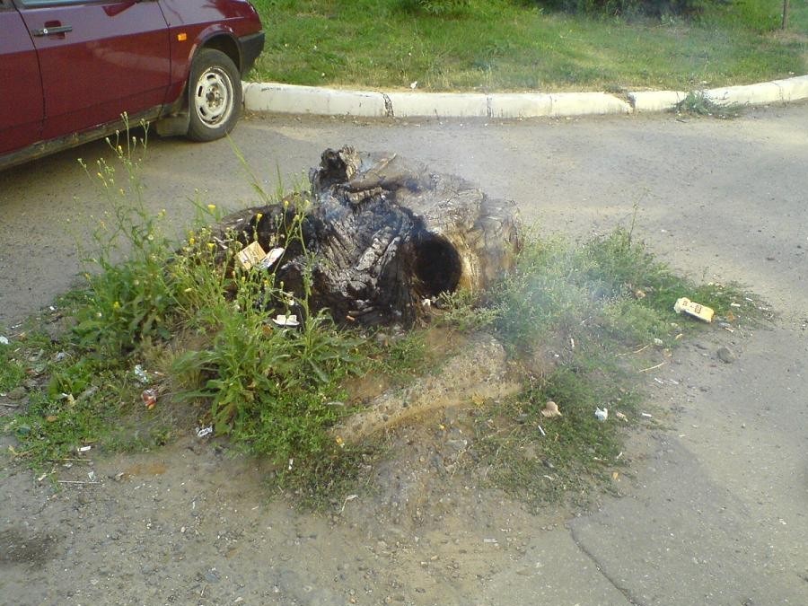 Присоединённое изображение
