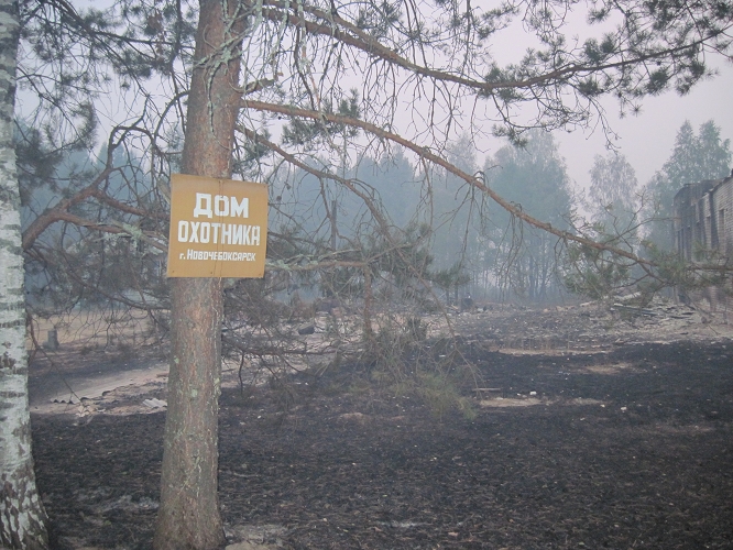 Присоединённое изображение