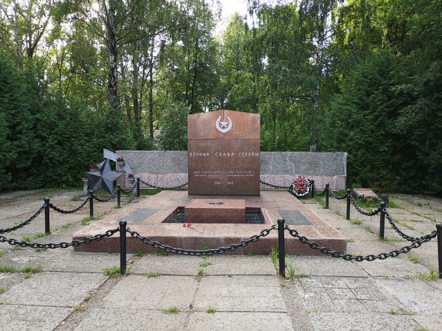 Присоединённое изображение