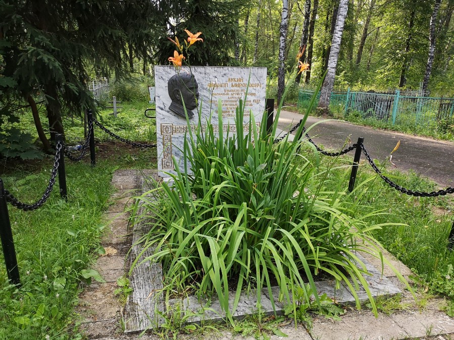 Присоединённое изображение