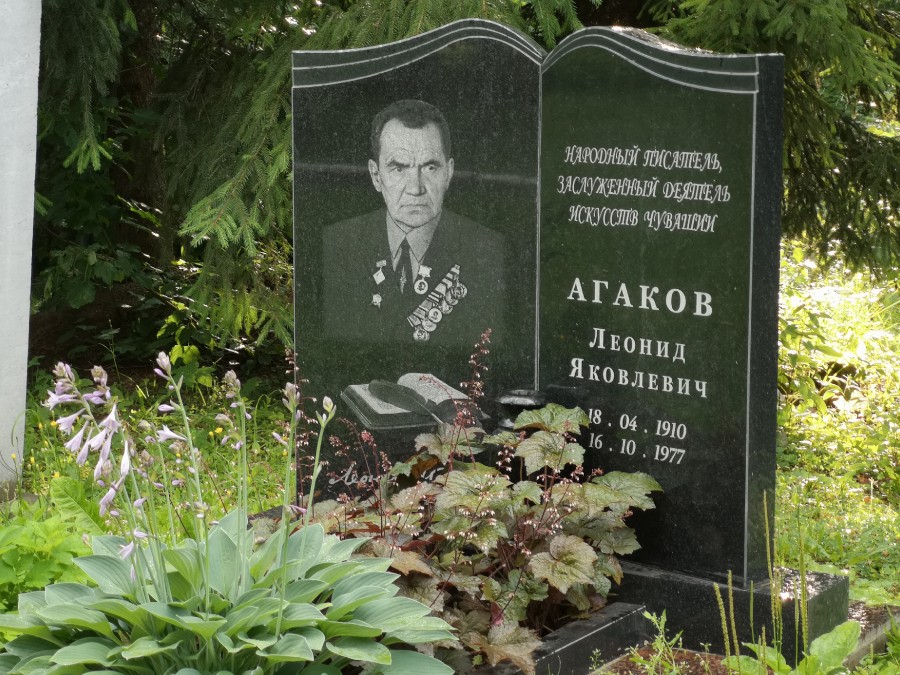 Присоединённое изображение