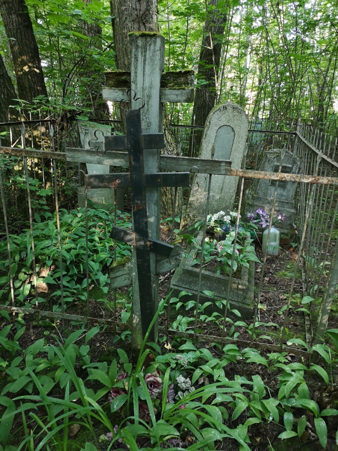 Присоединённое изображение