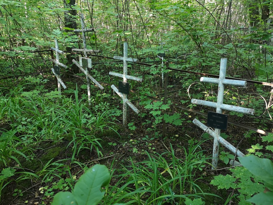 Присоединённое изображение