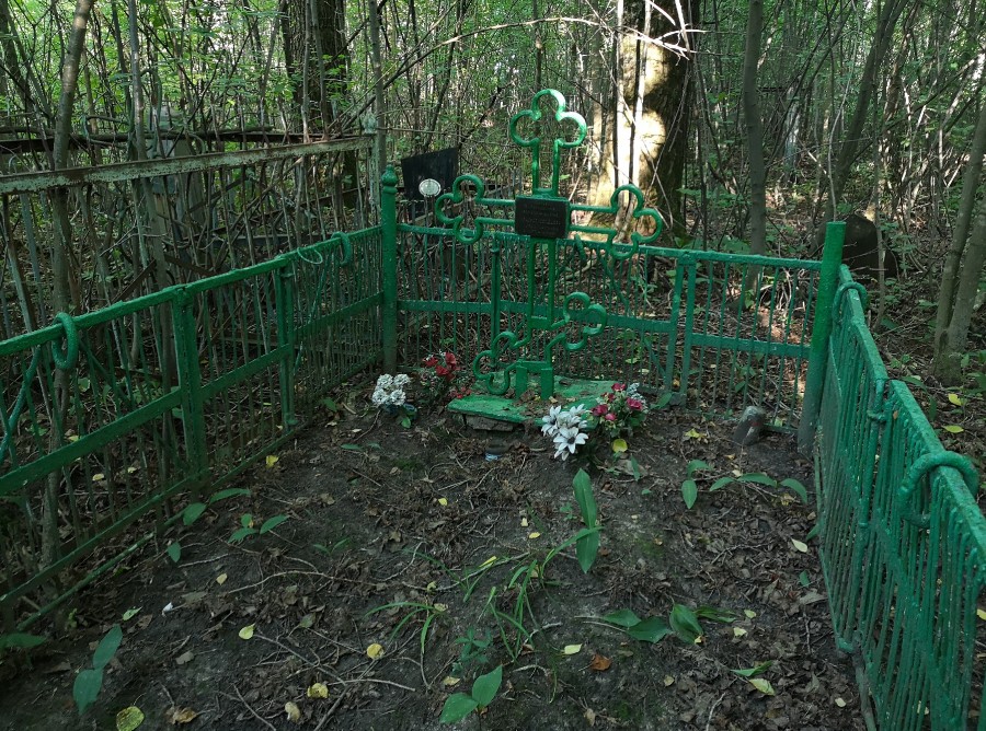 Присоединённое изображение