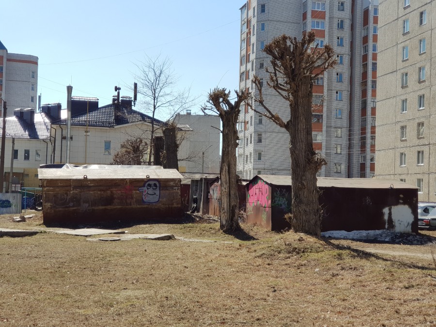 Присоединённое изображение