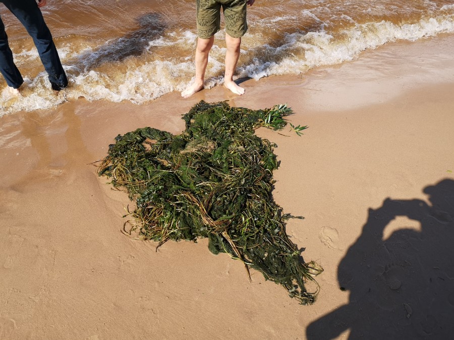 Присоединённое изображение