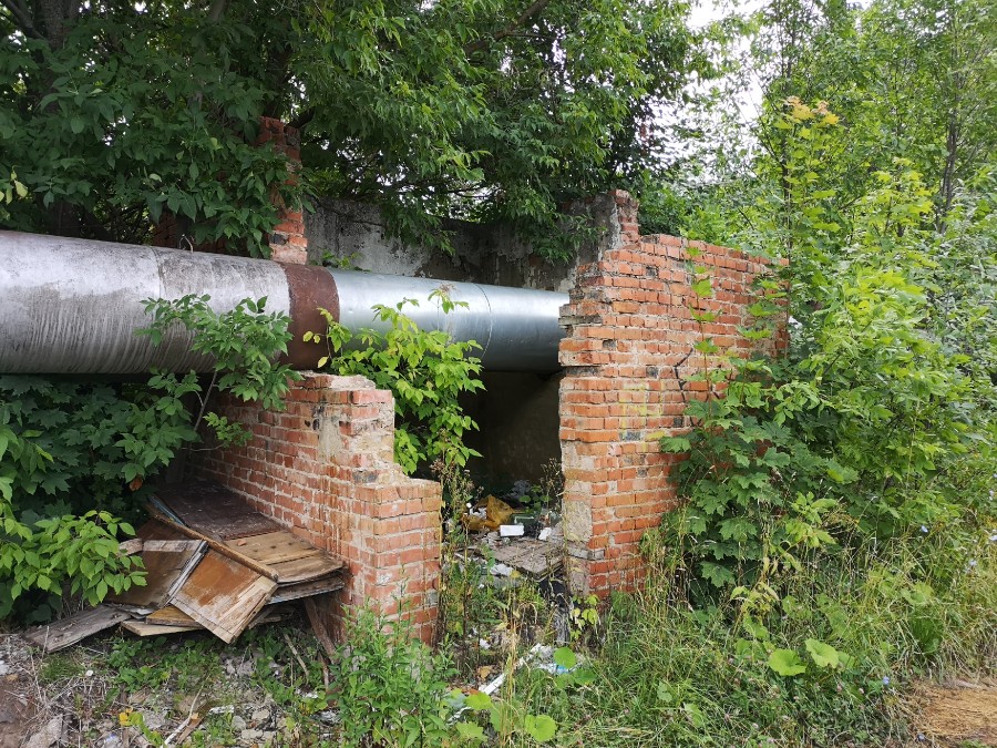 Присоединённое изображение