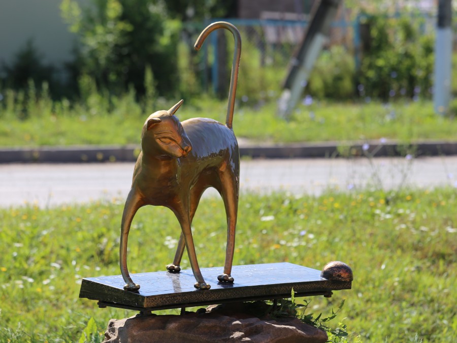 Присоединённое изображение