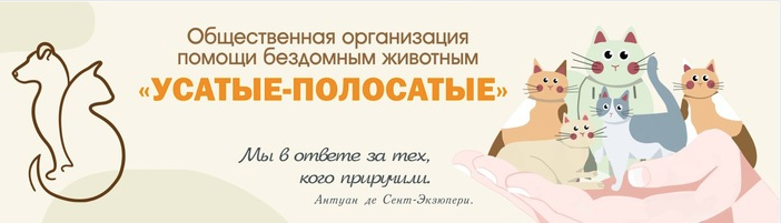 Присоединённое изображение