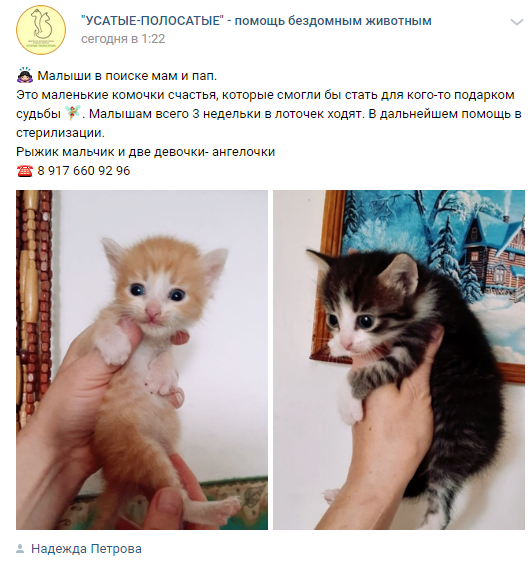 Присоединённое изображение