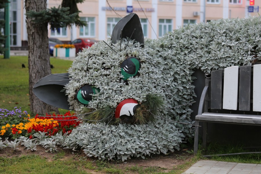 Присоединённое изображение