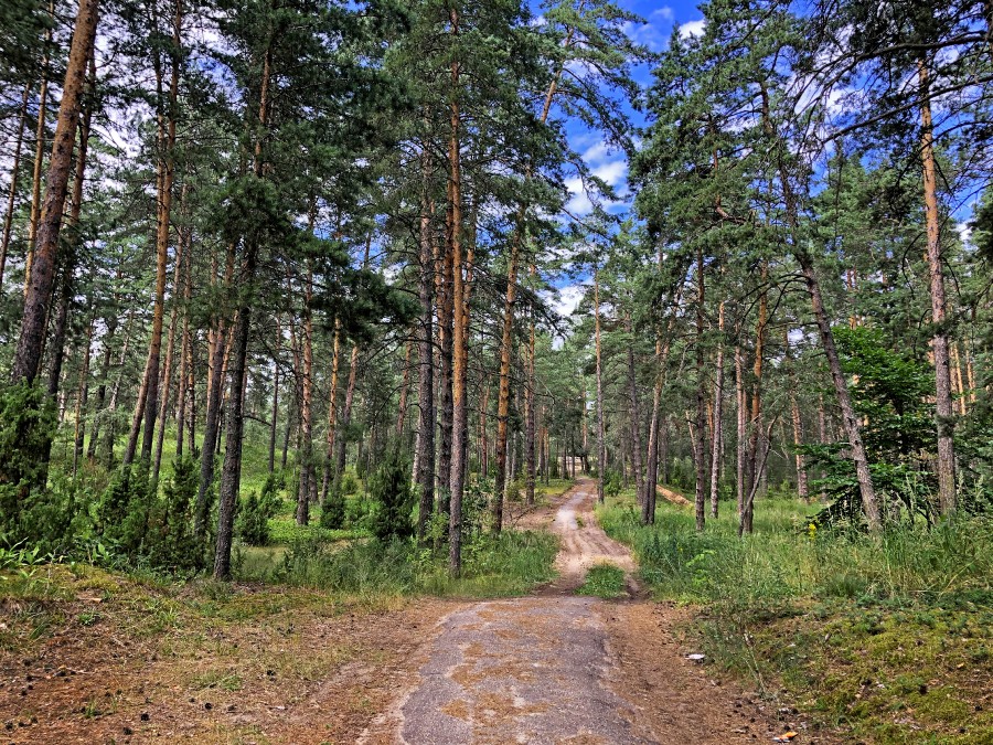 Присоединённое изображение