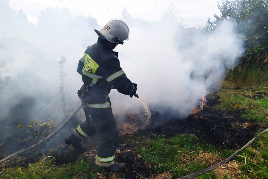  :
 - za_minuvshie_sutki_v_respublike_zaregistrirovany_pyat_sluchaev_vozgoraniya_musora_na_otkrytoy_territorii_15972143861066820405__2000x2000.jpg
 - : 296,98, : 17