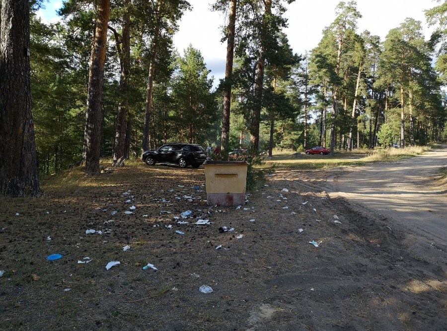 Присоединённое изображение