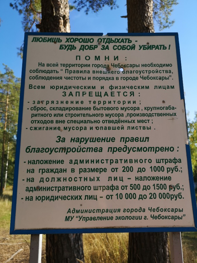 Присоединённое изображение