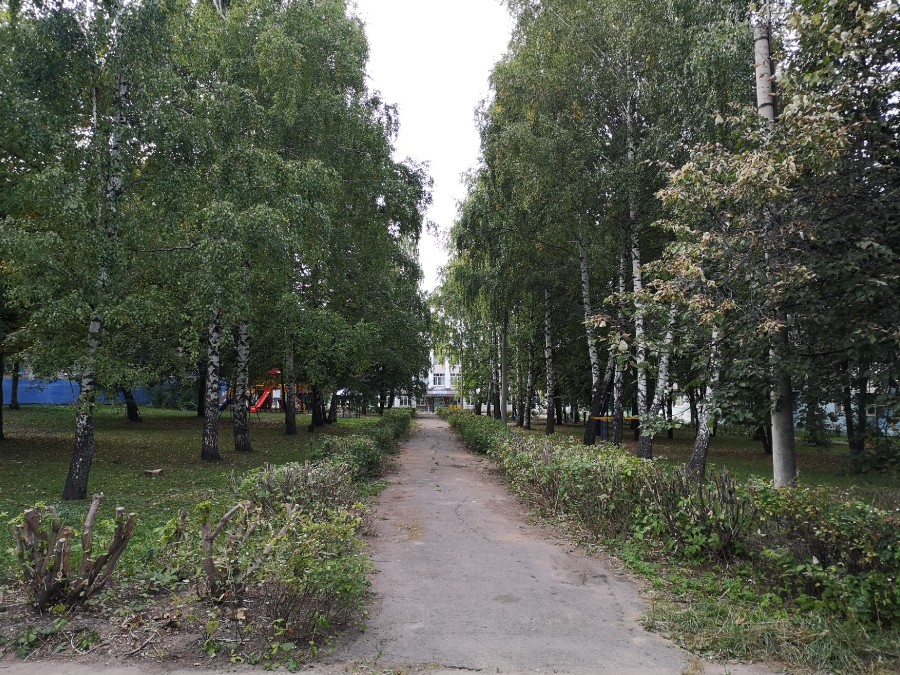 Присоединённое изображение