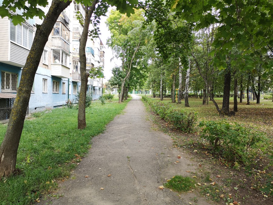 Присоединённое изображение
